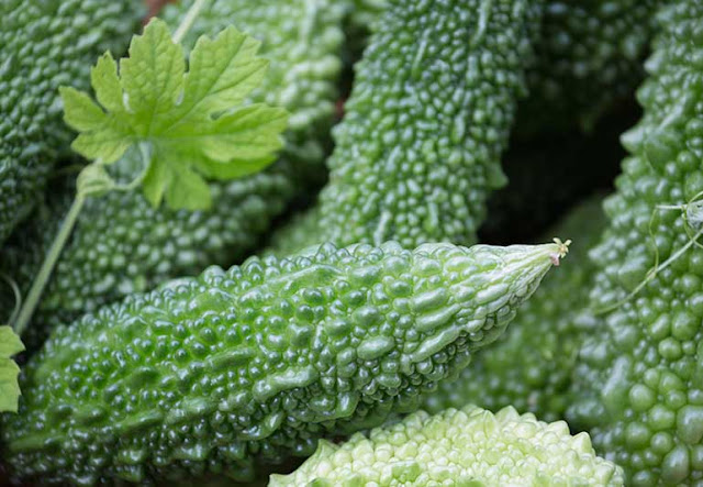 Medicinal Plants For Diabetes, Bitter melon