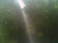 Water Fall Cagar Alam Pantai Pangandaran