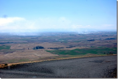 DSC_0005