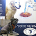 Oz Works Clear Conscience Pet Booth at Global Pet Expo