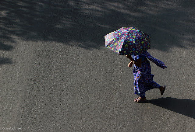 A Lady in Blue Saree crossing the street with an Umbrella to protect herself from the Summer Heat in Jaipur, India