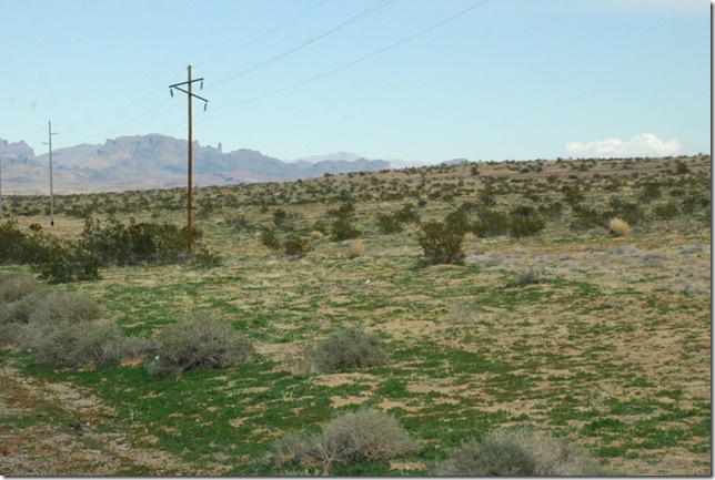 02-11-13 A US95 Yuma to Lake Havasu 033