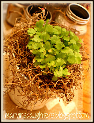 Springtime Table Centerpiece