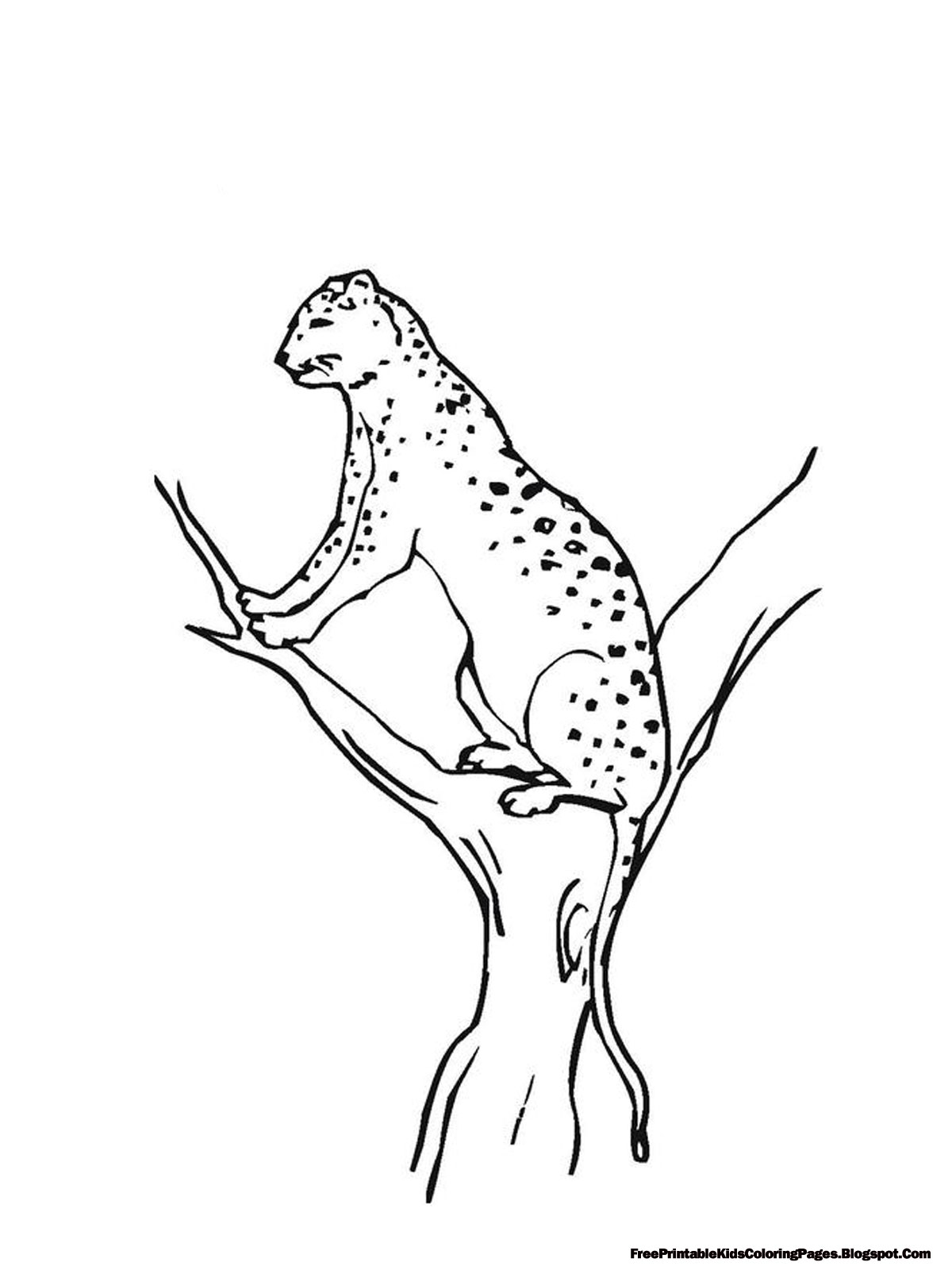 Jaguar Climbing Tree Printable Kids Coloring Pages