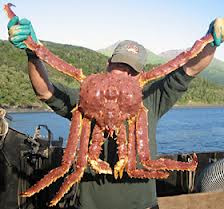 Alaska Seafood Offer Will Have Completely Different Adventures