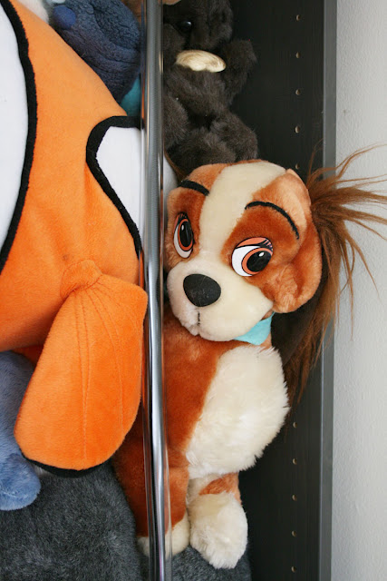 Stuffed Animal Storage 