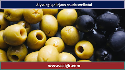 Alyvuogių aliejaus nauda sveikatai