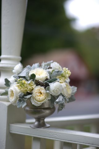 As the weather gets colder outside winter white flowers with soft dusty