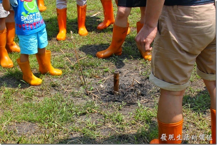南投頭社活盆地。真的可以整根4~5公尺的竹竿都沒入土地中耶！