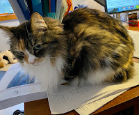 A calico cat sitting on a pile of papers