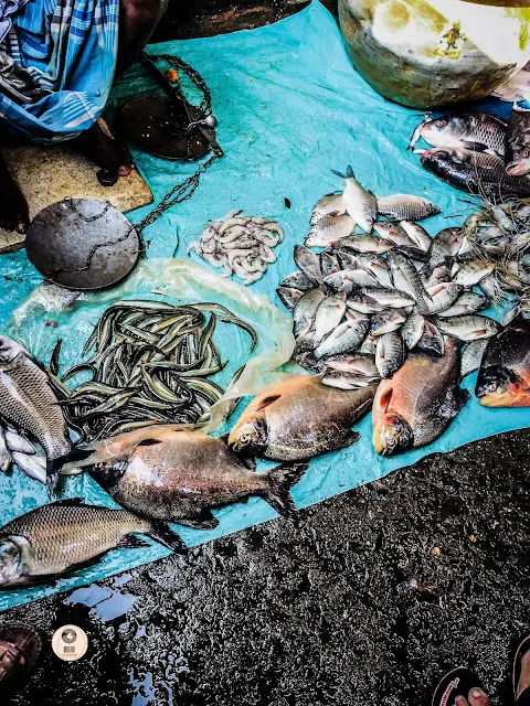 Kolkata Creatnz Street Photography