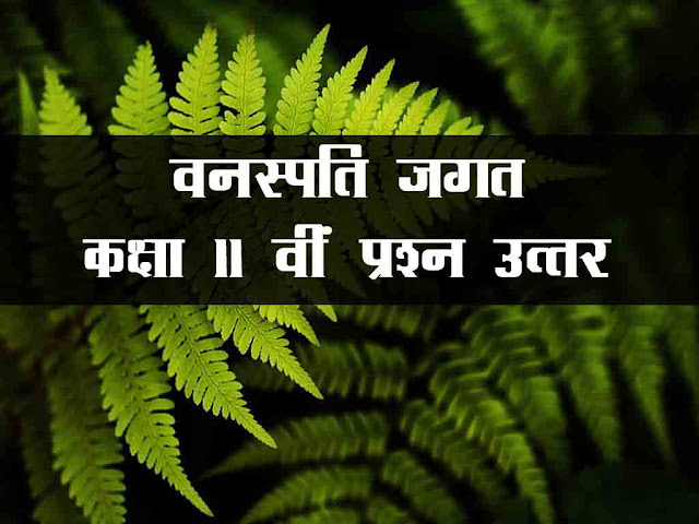 वनस्पति जगत प्रश्न उत्तर | Plant Kingdom Class 11th Question Answer
