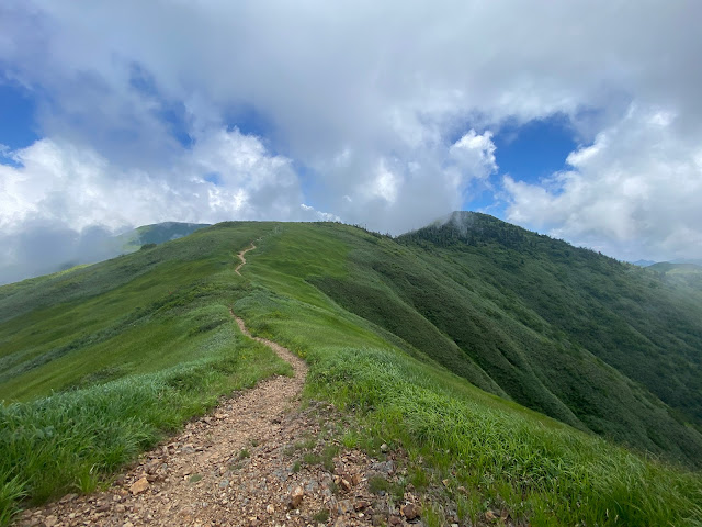 ridge between Mts. Waremeki and Makihata