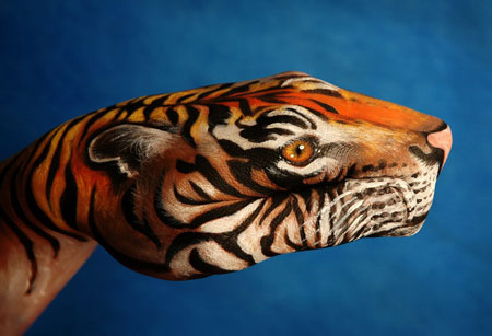 hand painting tiger,hand painting 