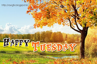 happy-tuesday-sayings-greetings-wishes-quotes-tuesday-images-hd-wallpapers-photos-pics-for-twitter