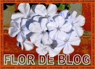 FLOR  DE  BLOG