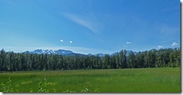 Between Haines Junction headed for Haines