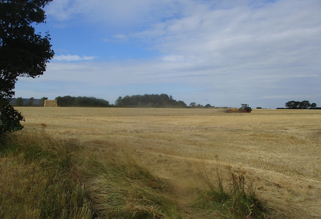 July 2022 harvest