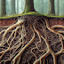 The Hidden Wonders of Underground Ecosystems: A Journey Beneath Our Feet