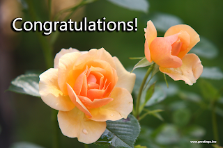 congratulations images rose flowers greetings