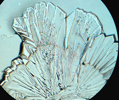 Beautiful sugar crystals!