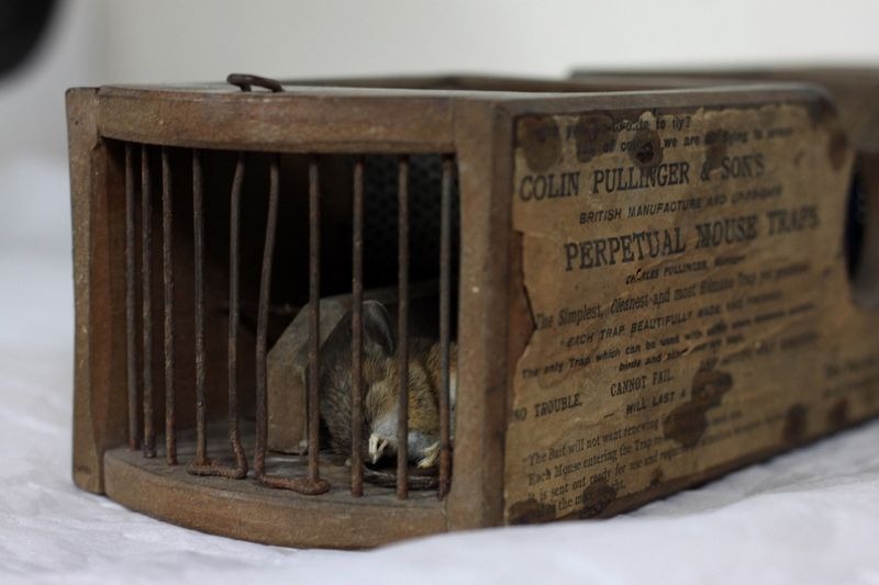 155-year-old-mouse-trap-museum-9