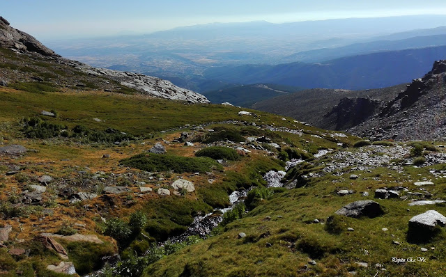Picón,Sierra Nevada