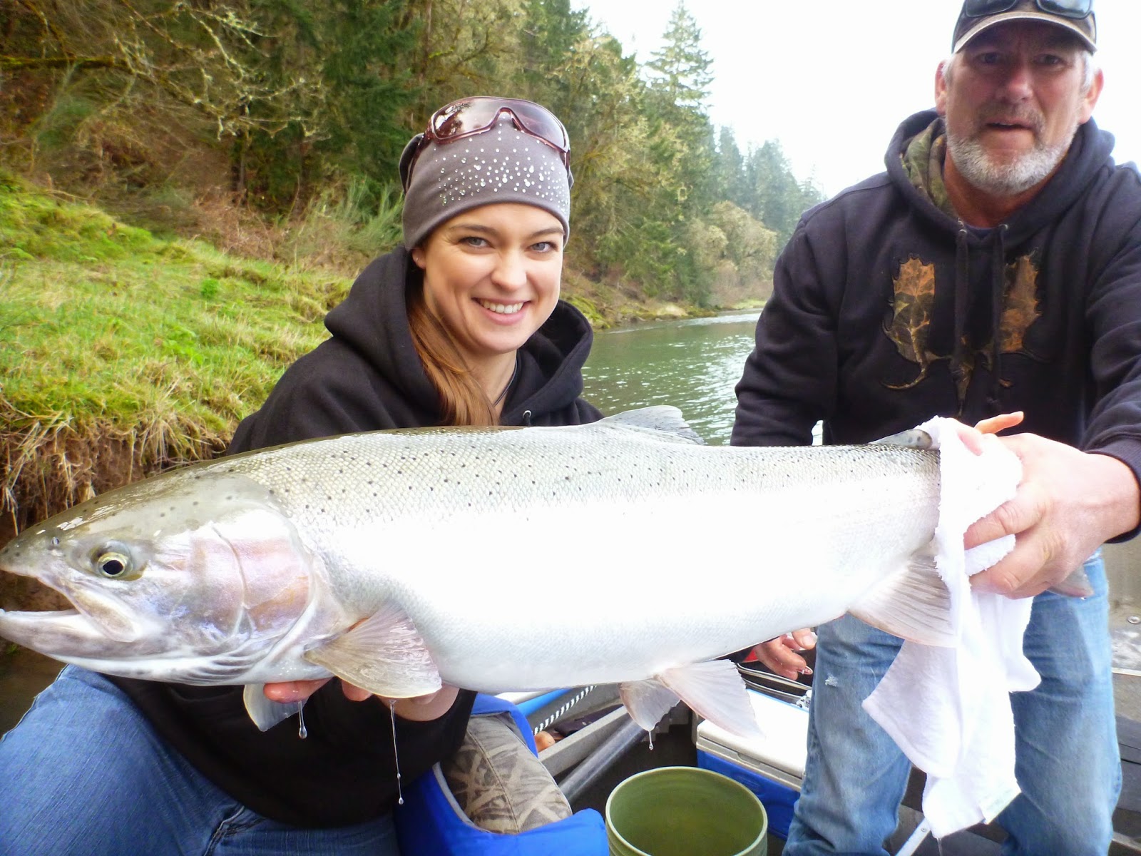 Umpqua River Steelhead