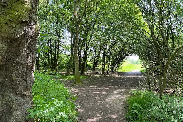 Ancient woodland at Belhus Woods Country Park