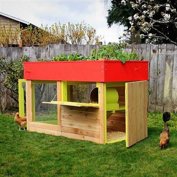Model Kandang Ayam Minimalis Unik dan Modern Terbaru
