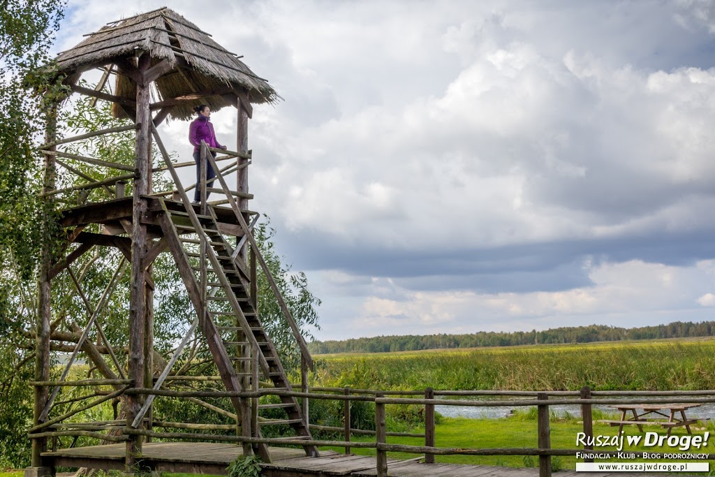 Wieża widokowa nad Biebrzą