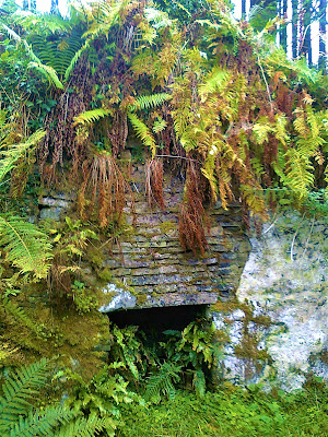 Slieve Bloom Mountains