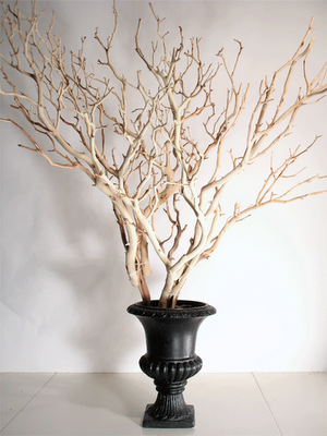 Assembling Tree Branch Display Escort Card Table