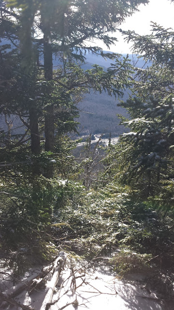 Cannon Cliffs loop bushwhack, Cannon Mountain, Franconia Notch State Park