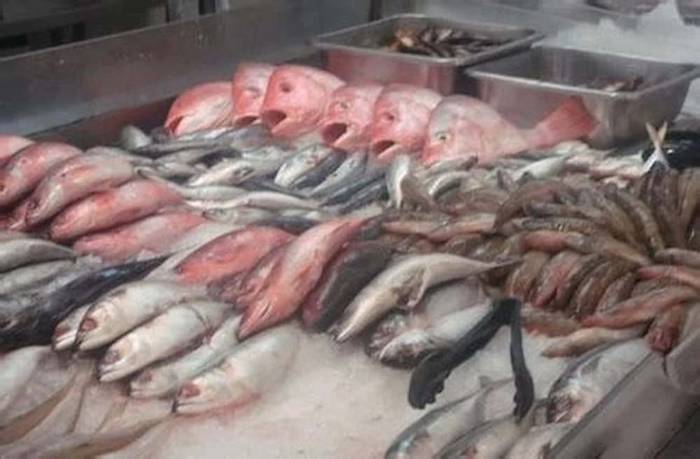 استقرار أسعار الأسماك والمأكولات البحرية في سوق العبور اليوم الجمعة