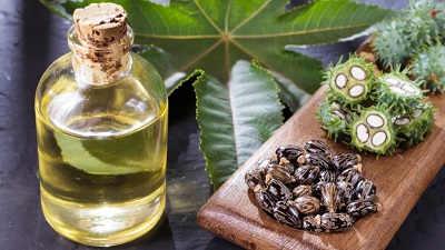 الفوائد المتعددة لزيت الخروع على الصحة والبشرة والشعر Castor oil