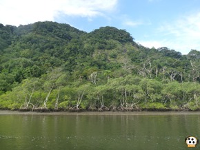 FDS Ecaologico 9 (235)