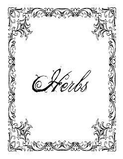 Herbs Book of Shadows Free Printable Download