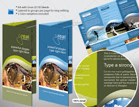 Indesign Brochure Templates6