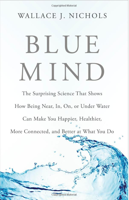 favorite books for people who love the ocean, BLUE MIND