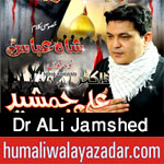 http://www.humaliwalayazadar.com/2017/09/dr-ali-jamshed-nohay-2018.html