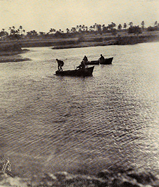 النيل عند دمياط