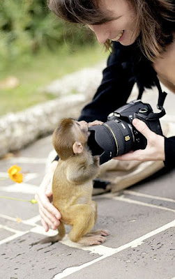 Fotos de coleccion: "Monito quiere ser fotografiado"  