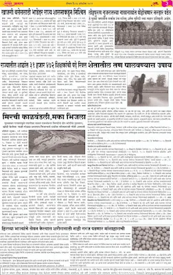 लेवाजगत  वृत्तपत्र वर्ष १४ अंक ४ दीपावली विशेष अंक