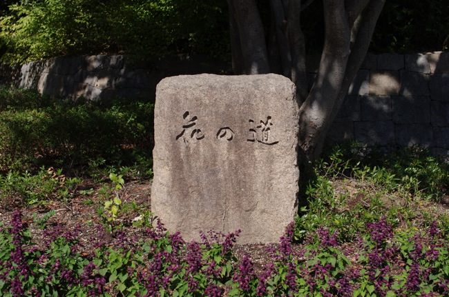 IMGP5968