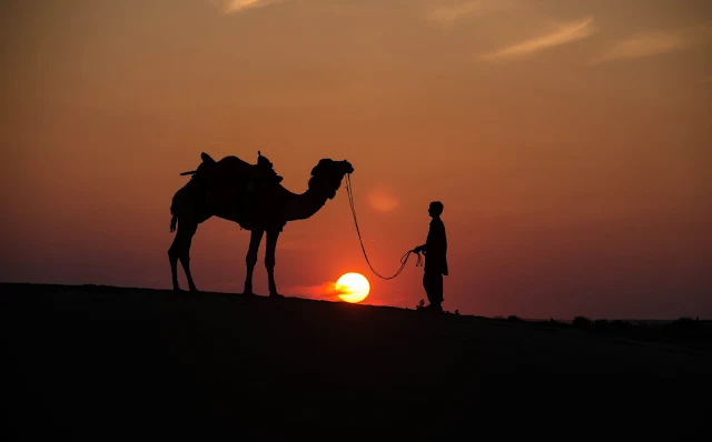 थार रेगिस्तान के सुनहरे रंगों से चित्रित राजस्थान की सीपिया टोंड तस्वीर Jaisalmer की शानदार सुंदरता को परिभाषित करती है। वर्ष 1156 में भाटी राजपूत राजा रावल जैसल द्वारा स्थापित, जैसलमेर इस रंगीन राज्य का सोने का पानी चढ़ा हुआ मुकुट है। सोनार किला या जैसलमेर किले की भव्य विरासत रेगिस्तान की धुंध से निकलती है, जो एक शानदार बलुआ पत्थर की प्राचीर और पीले रंग के गढ़ों में लिपटे हुए हैं।