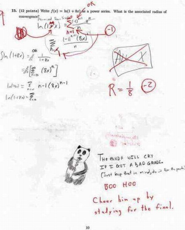 funny quotes on exams quotes for exams. funny quotes on exams