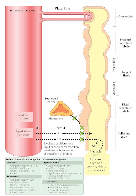 POTASSIUM-SPARING DIURETICS