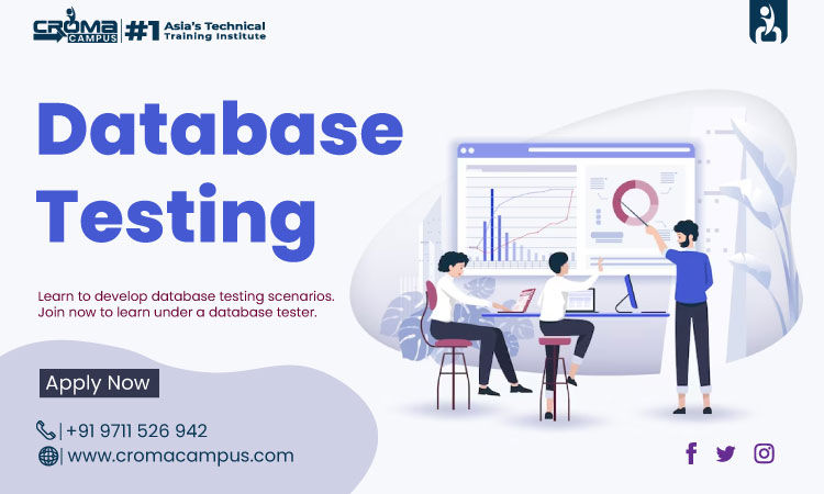 Database Testing Training