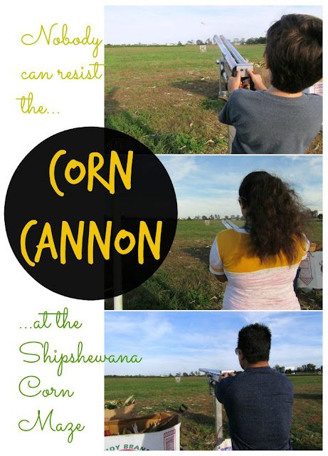 Try to resist the Corn Cannon at Shipshewana Corn Maze